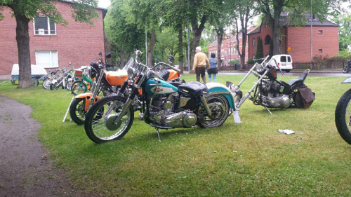 Motor i plantis 2016.jpg